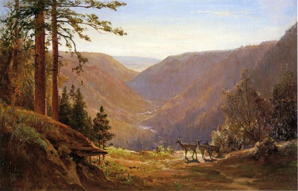 Valley with Deer